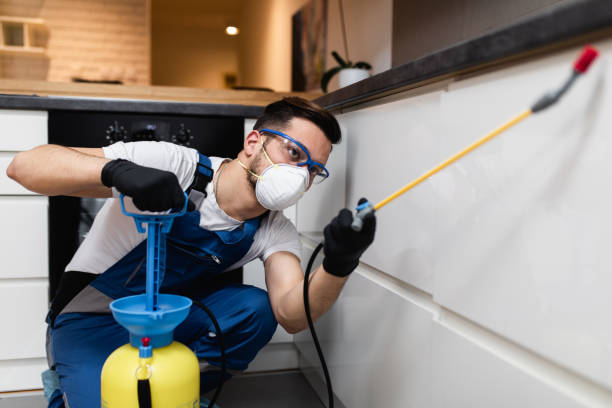 Best Wasp Removal Services  in Logan Elm Village, OH