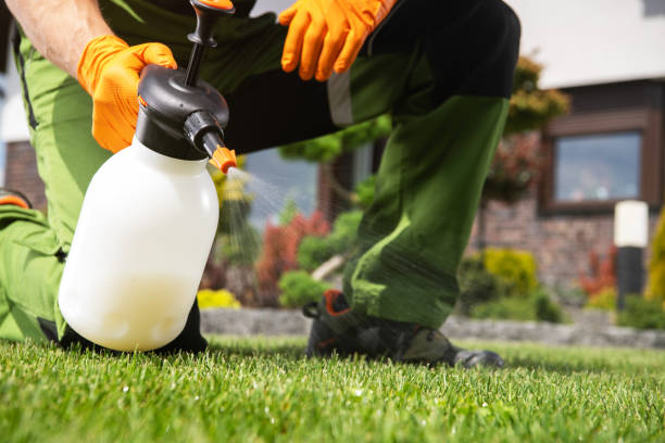 Best Best Pest Control Companies  in Logan Elm Village, OH